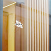 Apex Orbit Sticker